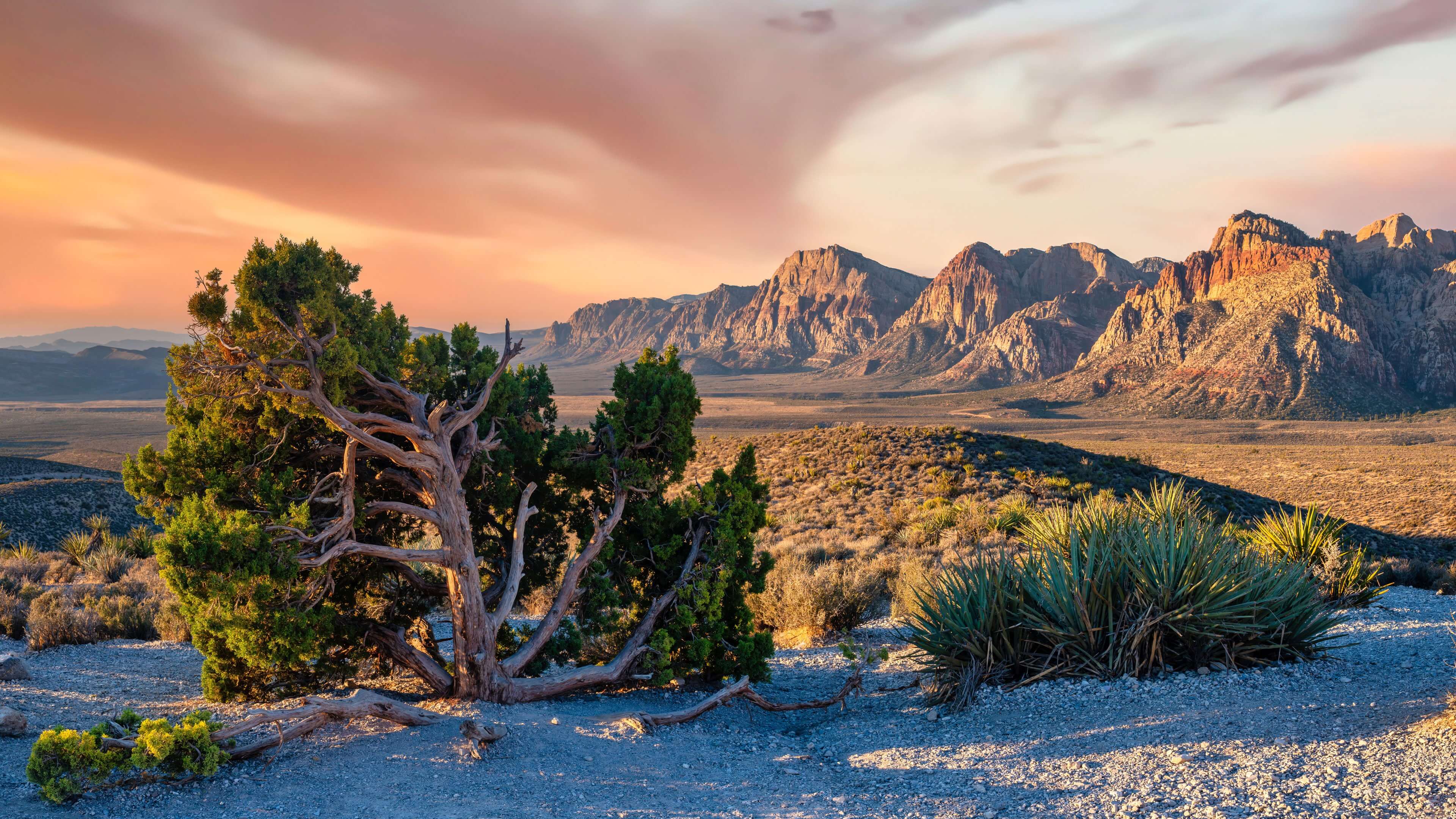 Ridges Las Vegas Hiking scaled